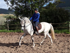 Portugal-Lisbon Area-Lusitano Riding Centre Alcainca Program B